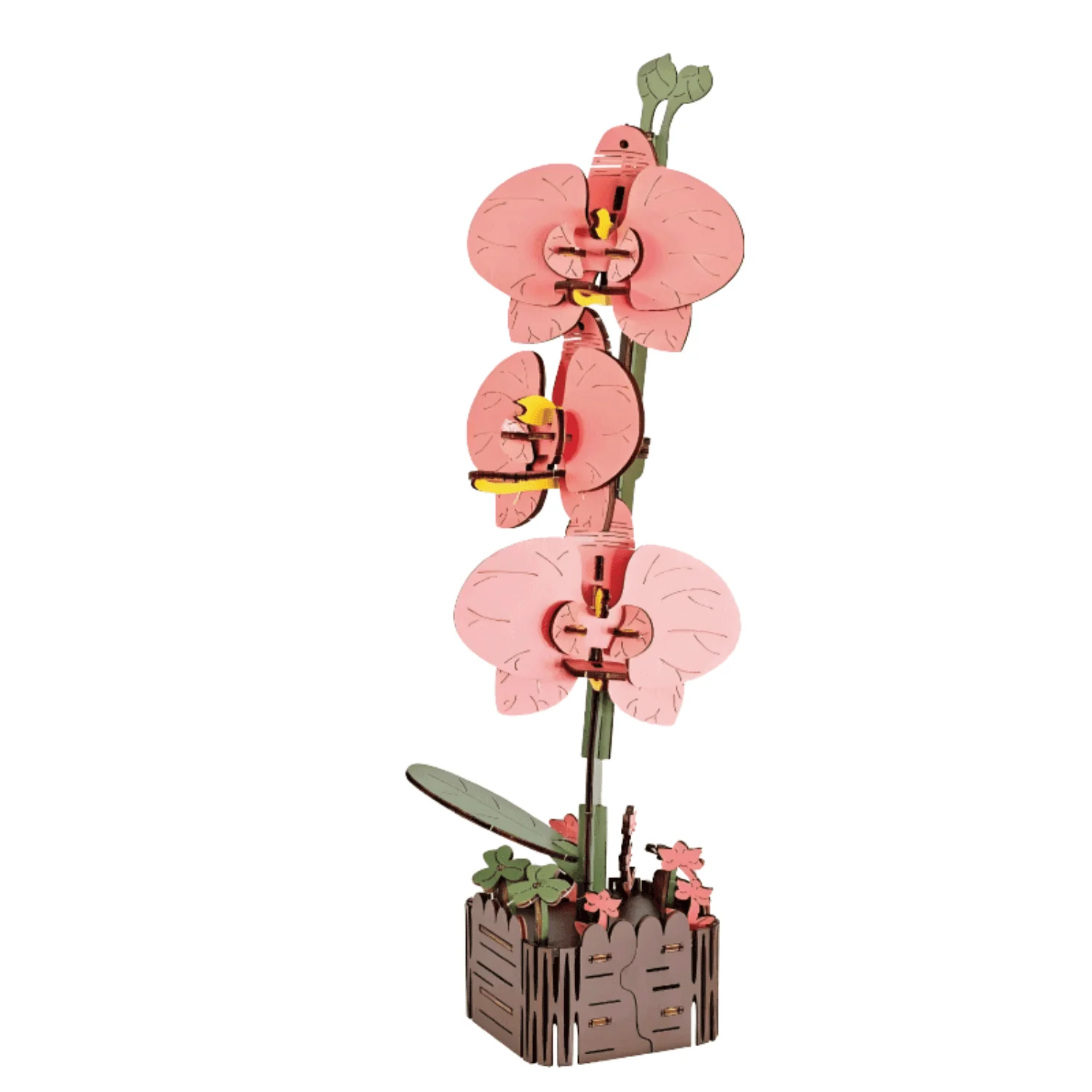 Ewiger Frühling – Blumen-Trio Kollektion - Image 8